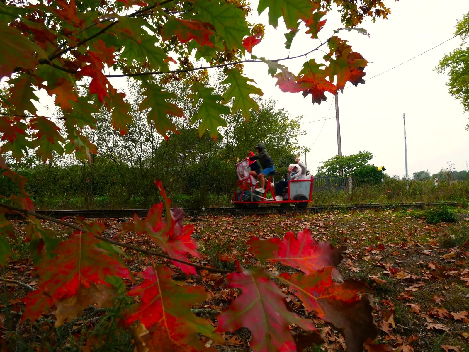 10 choses à faire en automne dans le Gers