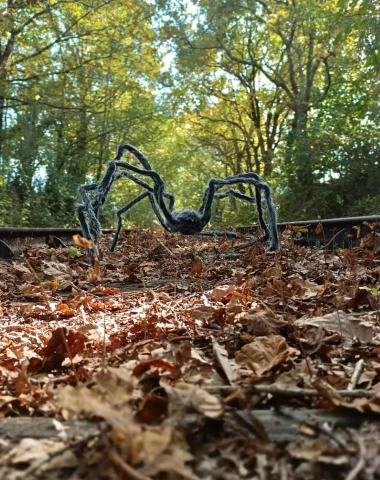 Stage d’initiation à la vannerie