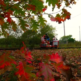 10 choses à faire en automne dans le Gers