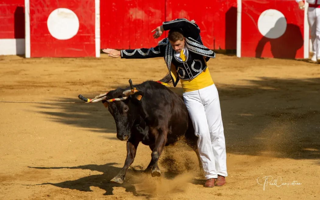 La corne d’or à Nogaro