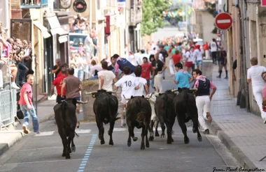 Les Fêtes de Nogaro