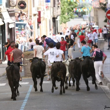 Les Fêtes de Nogaro