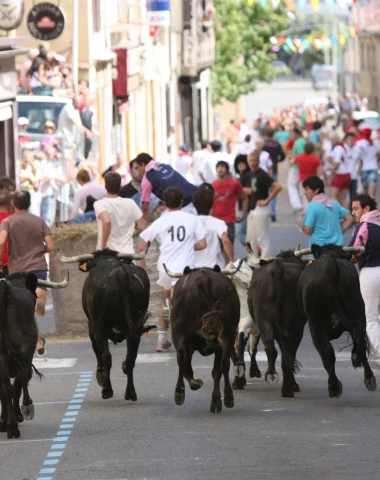 Les Fêtes de Nogaro