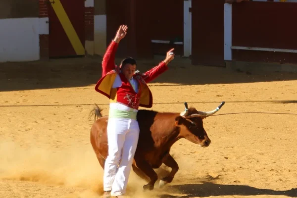 Course landaise Cazaubon